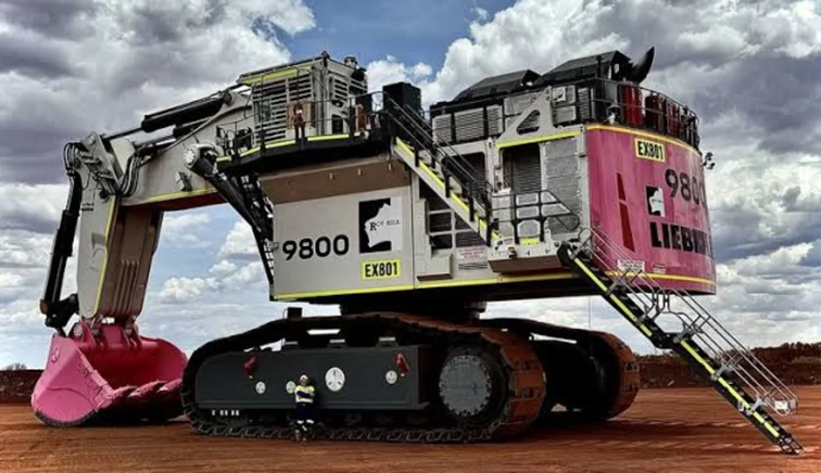 1/50 Custom Liebherr R 9800 Excavator 